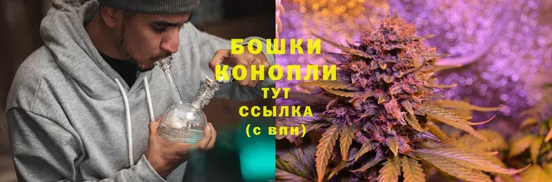 Марихуана SATIVA & INDICA  наркота  Грязовец 